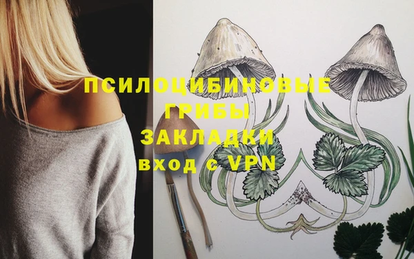 прущий лед Аркадак