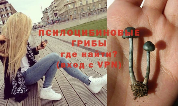 прущий лед Аркадак
