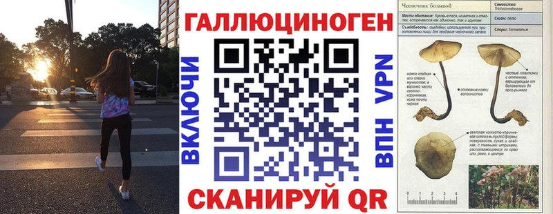Галлюциногенные грибы Cubensis  Сольвычегодск 